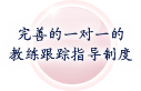充実の個別フォロー体制