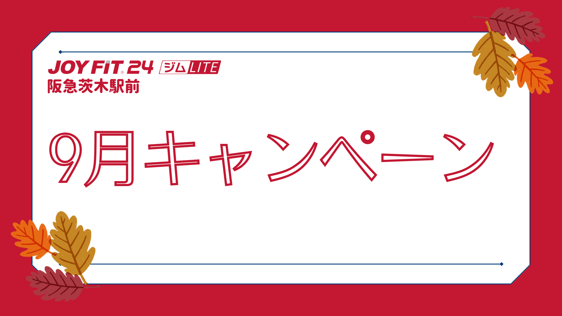 キャンペーン案内