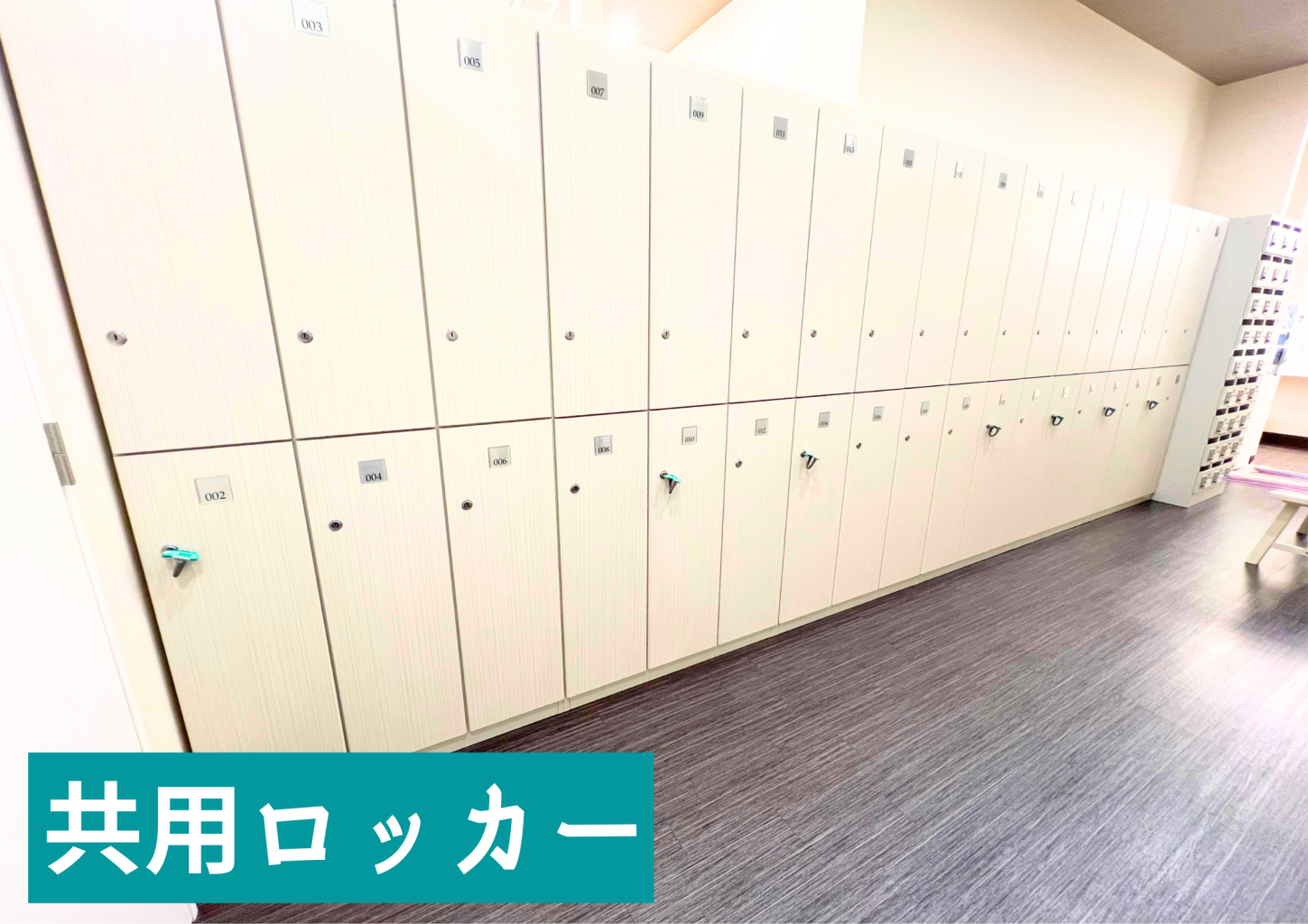 鍵付きロッカー、無料でお使いただけます。
