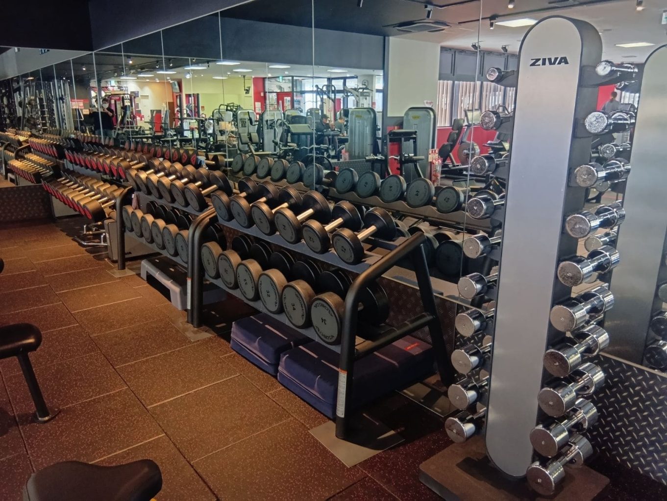 ダンベル：1～50kg