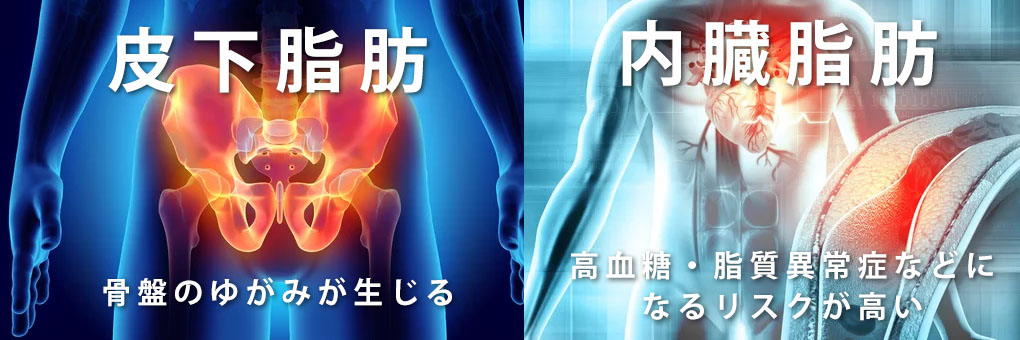 お腹周りに脂肪がつくとどうなる？