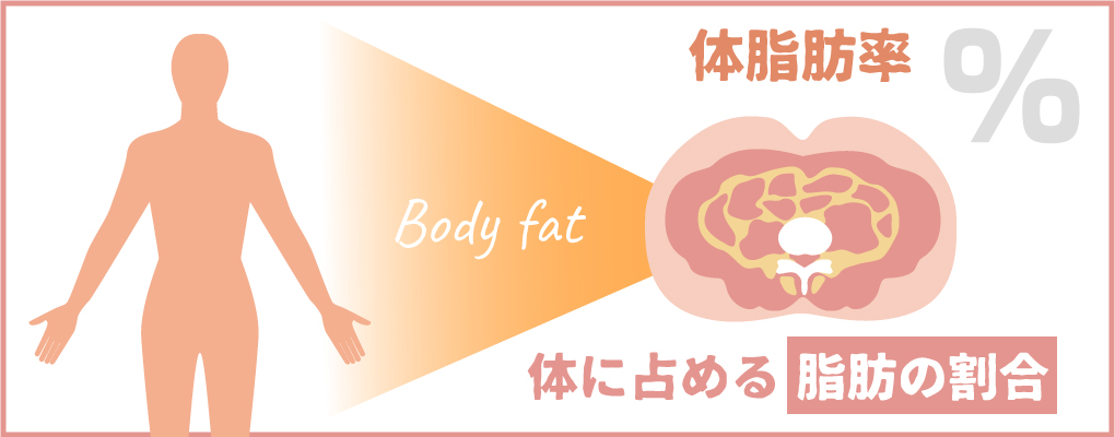 体脂肪とは？