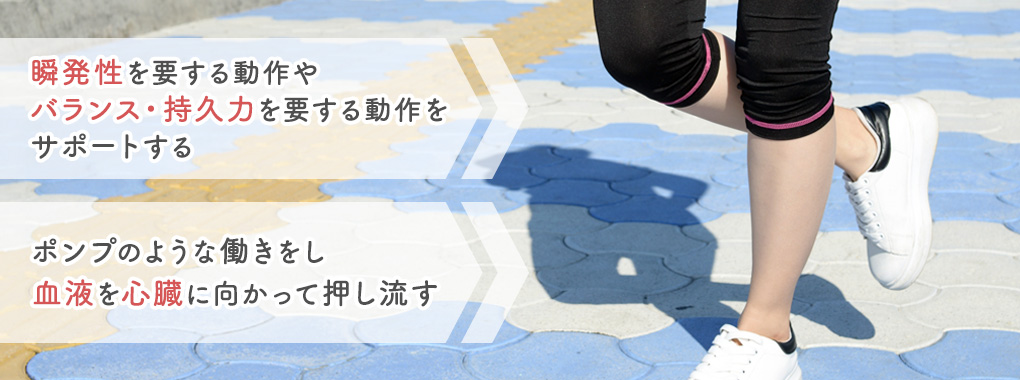 ふくらはぎの持つ役割とは？