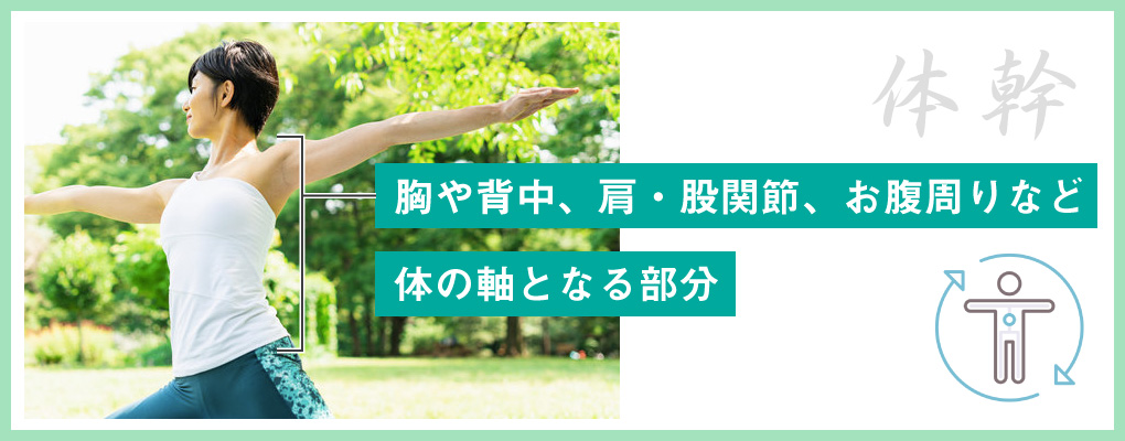 体幹とは？