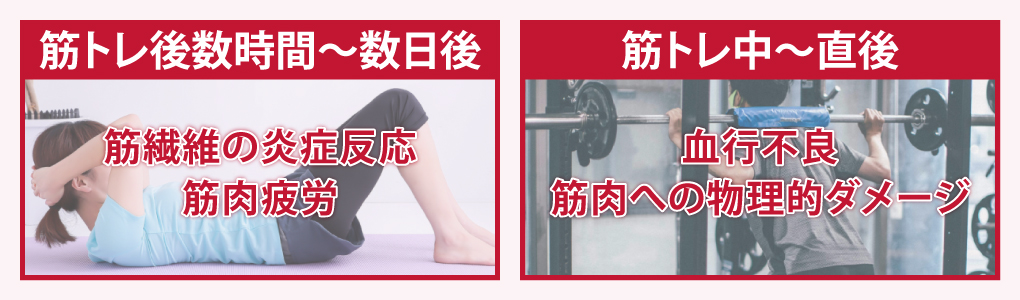 筋トレで筋肉痛が起こる原因とは？