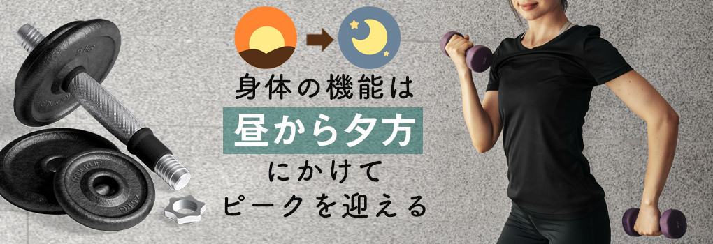 筋トレをするのに向いている時間帯は？