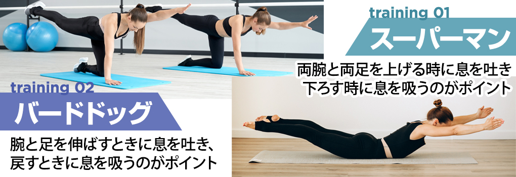 自重で背筋を鍛える筋トレ方法