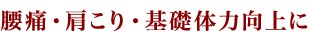腰痛・肩こり・基礎体力向上に
