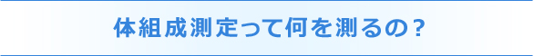 体組成測定って何を測るの?