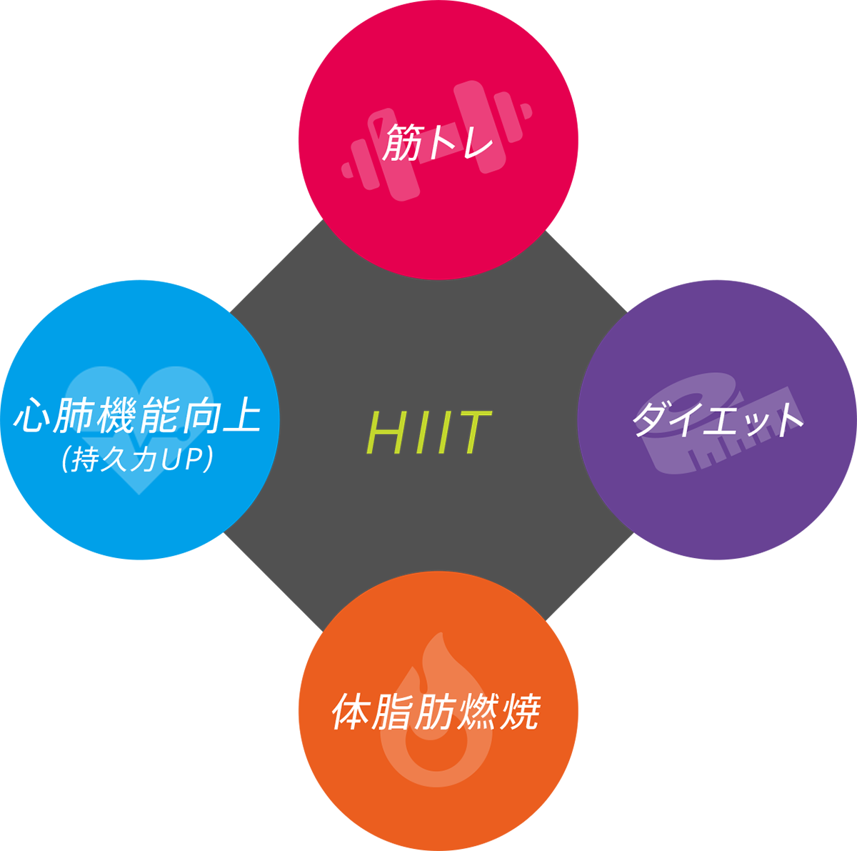 効果はフィットネス広範囲