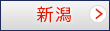 新潟