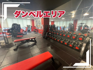 ダンベルエリア