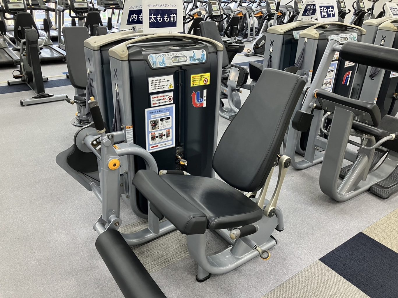 レッグエクステンション