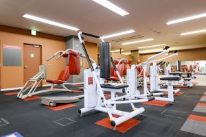 ストレッチマシン