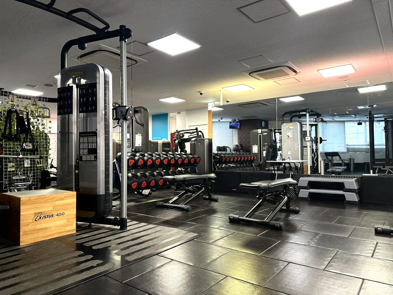 ベンチマシン/ケーブルマシン